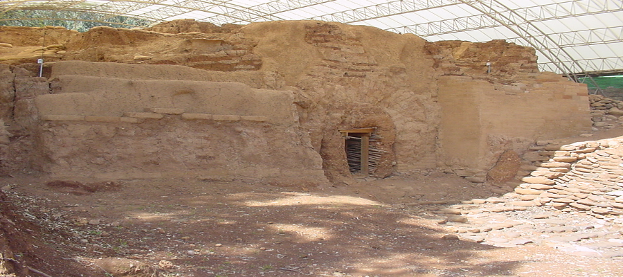 Main Image 1